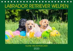 Starick |  Labrador Retriever Welpen - Kleine Weltentdecker (Tischkalender 2020 DIN A5 quer) | Sonstiges |  Sack Fachmedien
