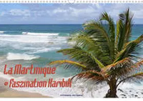 Haafke |  La Martinique - Faszination Karibik (Wandkalender 2020 DIN A3 quer) | Sonstiges |  Sack Fachmedien