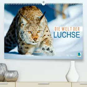 Calvendo / CALVENDO |  Die Welt der Luchse(Premium, hochwertiger DIN A2 Wandkalender 2020, Kunstdruck in Hochglanz) | Sonstiges |  Sack Fachmedien