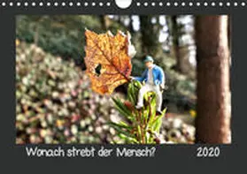 Dankert |  Wonach strebt der Mensch? (Wandkalender 2020 DIN A4 quer) | Sonstiges |  Sack Fachmedien