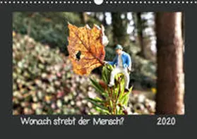 Dankert |  Wonach strebt der Mensch? (Wandkalender 2020 DIN A3 quer) | Sonstiges |  Sack Fachmedien