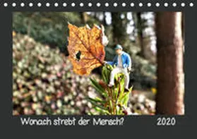 Dankert | Wonach strebt der Mensch? (Tischkalender 2020 DIN A5 quer) | Sonstiges | 978-3-671-22329-9 | www.sack.de