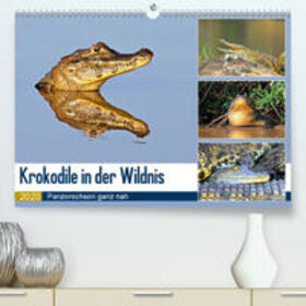 und Michael Herzog | Krokodile in der Wildnis(Premium, hochwertiger DIN A2 Wandkalender 2020, Kunstdruck in Hochglanz) | Sonstiges | 978-3-671-22522-4 | sack.de