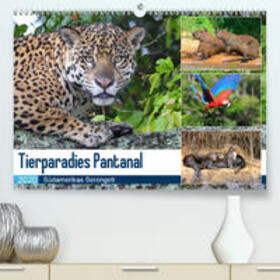 und Yvonne Herzog / Herzog | Tierparadies Pantanal(Premium, hochwertiger DIN A2 Wandkalender 2020, Kunstdruck in Hochglanz) | Sonstiges | 978-3-671-22526-2 | sack.de