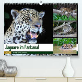 und Michael Herzog / Herzog | Jaguare im Pantanal(Premium, hochwertiger DIN A2 Wandkalender 2020, Kunstdruck in Hochglanz) | Sonstiges | 978-3-671-22531-6 | sack.de