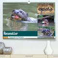 und Yvonne Herzog / Herzog |  Riesenotter - Flusswölfe im Pantanal(Premium, hochwertiger DIN A2 Wandkalender 2020, Kunstdruck in Hochglanz) | Sonstiges |  Sack Fachmedien