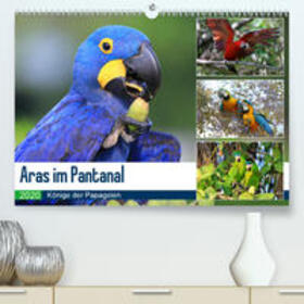 und Michael Herzog / Herzog | Aras im Pantanal(Premium, hochwertiger DIN A2 Wandkalender 2020, Kunstdruck in Hochglanz) | Sonstiges | 978-3-671-22542-2 | sack.de