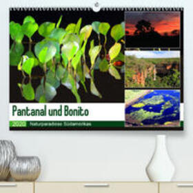 und Michael Herzog / Herzog | Pantanal und Bonito(Premium, hochwertiger DIN A2 Wandkalender 2020, Kunstdruck in Hochglanz) | Sonstiges | 978-3-671-22557-6 | sack.de