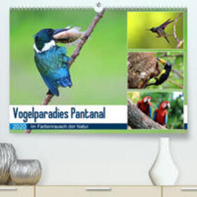 und Michael Herzog / Herzog | Vogelparadies Pantanal(Premium, hochwertiger DIN A2 Wandkalender 2020, Kunstdruck in Hochglanz) | Sonstiges | 978-3-671-22572-9 | sack.de