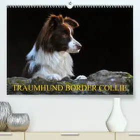 Starick |  Traumhund Border Collie(Premium, hochwertiger DIN A2 Wandkalender 2020, Kunstdruck in Hochglanz) | Sonstiges |  Sack Fachmedien