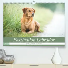 Strunz |  Faszination Labrador - gelb, foxred, schwarz(Premium, hochwertiger DIN A2 Wandkalender 2020, Kunstdruck in Hochglanz) | Sonstiges |  Sack Fachmedien