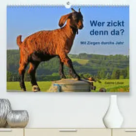 Löwer |  Wer zickt denn da? Mit Ziegen durchs Jahr(Premium, hochwertiger DIN A2 Wandkalender 2020, Kunstdruck in Hochglanz) | Sonstiges |  Sack Fachmedien