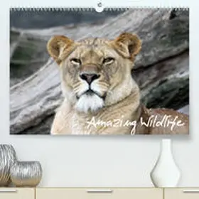 Hebbel-Seeger |  Amazing Wildlife(Premium, hochwertiger DIN A2 Wandkalender 2020, Kunstdruck in Hochglanz) | Sonstiges |  Sack Fachmedien