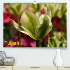 Haas |  Tulpen(Premium, hochwertiger DIN A2 Wandkalender 2020, Kunstdruck in Hochglanz) | Sonstiges |  Sack Fachmedien