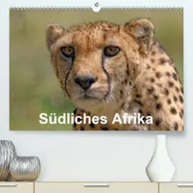 Wolf |  Südliches Afrika(Premium, hochwertiger DIN A2 Wandkalender 2020, Kunstdruck in Hochglanz) | Sonstiges |  Sack Fachmedien