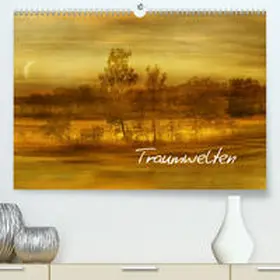 Manhart / manhART |  Traumwelten(Premium, hochwertiger DIN A2 Wandkalender 2020, Kunstdruck in Hochglanz) | Sonstiges |  Sack Fachmedien