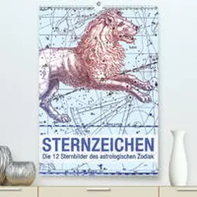 bilwissedition.com Layout: Babette Reek |  Sternzeichen(Premium, hochwertiger DIN A2 Wandkalender 2020, Kunstdruck in Hochglanz) | Sonstiges |  Sack Fachmedien