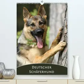 Steininger |  Deutscher Schäferhund(Premium, hochwertiger DIN A2 Wandkalender 2020, Kunstdruck in Hochglanz) | Sonstiges |  Sack Fachmedien