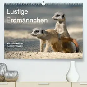 Weber |  Lustige Erdmännchen(Premium, hochwertiger DIN A2 Wandkalender 2020, Kunstdruck in Hochglanz) | Sonstiges |  Sack Fachmedien