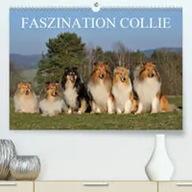 Starick |  Faszination Collie 2020(Premium, hochwertiger DIN A2 Wandkalender 2020, Kunstdruck in Hochglanz) | Sonstiges |  Sack Fachmedien