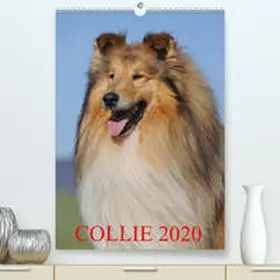 Starick |  Collie 2020(Premium, hochwertiger DIN A2 Wandkalender 2020, Kunstdruck in Hochglanz) | Sonstiges |  Sack Fachmedien