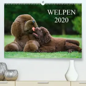 Starick |  Welpen 2020(Premium, hochwertiger DIN A2 Wandkalender 2020, Kunstdruck in Hochglanz) | Sonstiges |  Sack Fachmedien