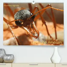 Störmer |  Exotische Ameisen(Premium, hochwertiger DIN A2 Wandkalender 2020, Kunstdruck in Hochglanz) | Sonstiges |  Sack Fachmedien