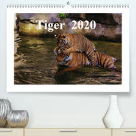 Hennig | Tiger  2020(Premium, hochwertiger DIN A2 Wandkalender 2020, Kunstdruck in Hochglanz) | Sonstiges | 978-3-671-24978-7 | sack.de