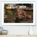 Hennig |  Tiger  2020(Premium, hochwertiger DIN A2 Wandkalender 2020, Kunstdruck in Hochglanz) | Sonstiges |  Sack Fachmedien