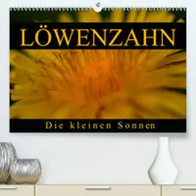 Kaden |  Löwenzahn - Die kleinen Sonnen(Premium, hochwertiger DIN A2 Wandkalender 2020, Kunstdruck in Hochglanz) | Sonstiges |  Sack Fachmedien