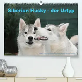 Ebardt |  Siberian Husky - der Urtyp(Premium, hochwertiger DIN A2 Wandkalender 2020, Kunstdruck in Hochglanz) | Sonstiges |  Sack Fachmedien