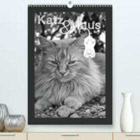 Koch | Katz & Maus(Premium, hochwertiger DIN A2 Wandkalender 2020, Kunstdruck in Hochglanz) | Sonstiges | 978-3-671-25477-4 | sack.de