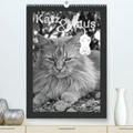 Koch |  Katz & Maus(Premium, hochwertiger DIN A2 Wandkalender 2020, Kunstdruck in Hochglanz) | Sonstiges |  Sack Fachmedien