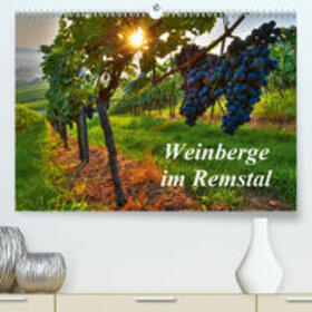Schmidt | Weinberge im Remstal(Premium, hochwertiger DIN A2 Wandkalender 2020, Kunstdruck in Hochglanz) | Sonstiges | 978-3-671-25782-9 | sack.de