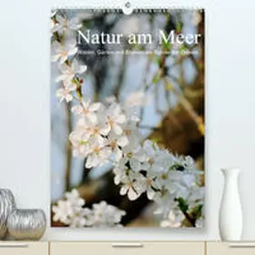 Schneekloth |  Natur am Meer - Wälder, Gärten und Blumen am Rande der Ostsee(Premium, hochwertiger DIN A2 Wandkalender 2020, Kunstdruck in Hochglanz) | Sonstiges |  Sack Fachmedien
