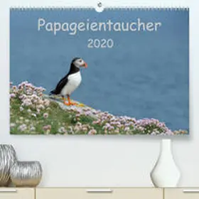 Leimer |  Papageientaucher 2020CH-Version(Premium, hochwertiger DIN A2 Wandkalender 2020, Kunstdruck in Hochglanz) | Sonstiges |  Sack Fachmedien
