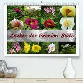 Reiter |  Zauber der Päonien-Blüte(Premium, hochwertiger DIN A2 Wandkalender 2020, Kunstdruck in Hochglanz) | Sonstiges |  Sack Fachmedien