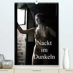 Lee |  Nackt im Dunkeln / 2020(Premium, hochwertiger DIN A2 Wandkalender 2020, Kunstdruck in Hochglanz) | Sonstiges |  Sack Fachmedien