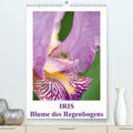 Haas |  Iris, Blume des Regenbogens(Premium, hochwertiger DIN A2 Wandkalender 2020, Kunstdruck in Hochglanz) | Sonstiges |  Sack Fachmedien