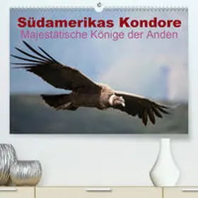 Bob |  Südamerikas Kondore - Majestätische Könige der Anden(Premium, hochwertiger DIN A2 Wandkalender 2020, Kunstdruck in Hochglanz) | Sonstiges |  Sack Fachmedien