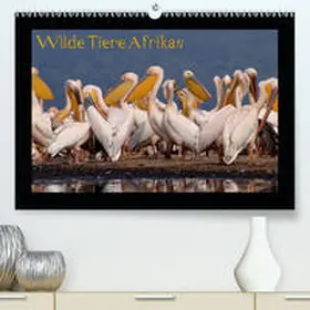 Depner |  Wilde Tiere Afrikas(Premium, hochwertiger DIN A2 Wandkalender 2020, Kunstdruck in Hochglanz) | Sonstiges |  Sack Fachmedien