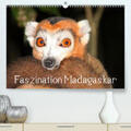 Raab |  Faszination Madagaskar(Premium, hochwertiger DIN A2 Wandkalender 2020, Kunstdruck in Hochglanz) | Sonstiges |  Sack Fachmedien
