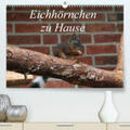 Peitz |  Eichhörnchen zu Hause(Premium, hochwertiger DIN A2 Wandkalender 2020, Kunstdruck in Hochglanz) | Sonstiges |  Sack Fachmedien