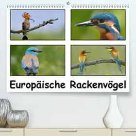 Wolf |  Europäische Rackenvögel(Premium, hochwertiger DIN A2 Wandkalender 2020, Kunstdruck in Hochglanz) | Sonstiges |  Sack Fachmedien