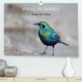 Herzog |  Vögel in Afrika - Magie der Farben(Premium, hochwertiger DIN A2 Wandkalender 2020, Kunstdruck in Hochglanz) | Sonstiges |  Sack Fachmedien