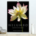 Herzog / www.bild-erzaehler.com |  N E L U M B O - Zauberhafte Ansichten der Lotosblüte(Premium, hochwertiger DIN A2 Wandkalender 2020, Kunstdruck in Hochglanz) | Sonstiges |  Sack Fachmedien