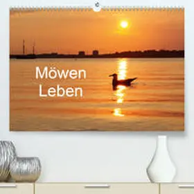Riedel |  Möwen Leben(Premium, hochwertiger DIN A2 Wandkalender 2020, Kunstdruck in Hochglanz) | Sonstiges |  Sack Fachmedien