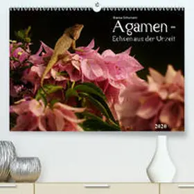 Schumann | Agamen - Echsen aus der UrzeitCH-Version(Premium, hochwertiger DIN A2 Wandkalender 2020, Kunstdruck in Hochglanz) | Sonstiges | 978-3-671-26535-0 | www.sack.de