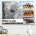 Herzog |  Elefanten in Afrika(Premium, hochwertiger DIN A2 Wandkalender 2020, Kunstdruck in Hochglanz) | Sonstiges |  Sack Fachmedien