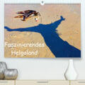 Raab |  Faszinierendes Helgoland(Premium, hochwertiger DIN A2 Wandkalender 2020, Kunstdruck in Hochglanz) | Sonstiges |  Sack Fachmedien